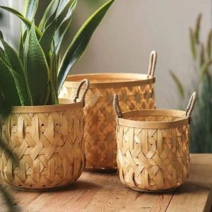 Bamboo